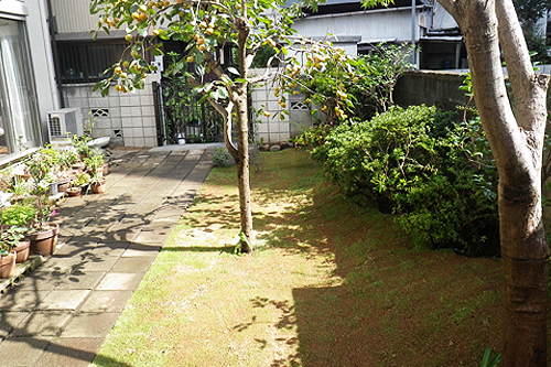 株式会社木むら造園の施工事例　A邸（高麗芝）
