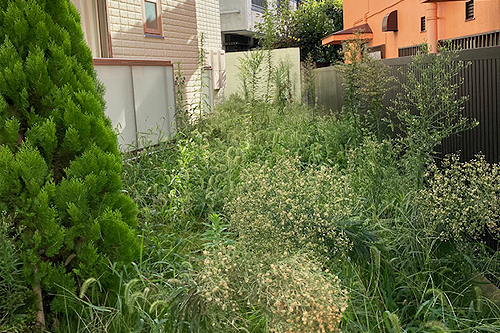 株式会社木むら造園の施工事例　Ｇマンション（人工芝）