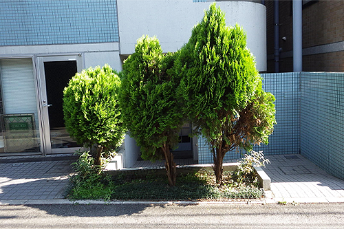 株式会社木むら造園の施工事例　K林邸