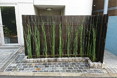 小株式会社木むら造園の施工事例　K林邸