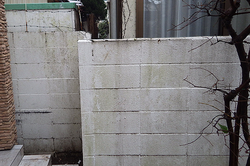 株式会社木むら造園の施工事例　T井邸