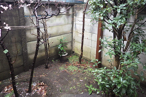 株式会社木むら造園の施工事例　T井邸