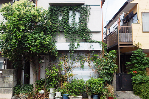 株式会社木むら造園の施工事例　伐採除草