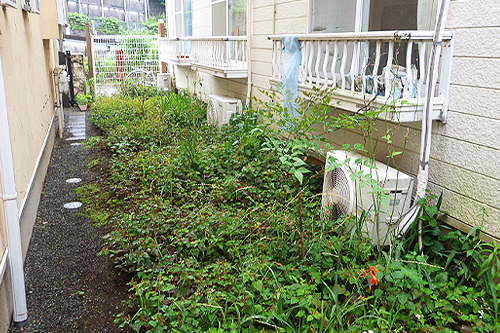 株式会社木むら造園の施工事例　伐採除草